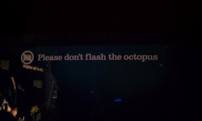 Please don't flash the octopus.