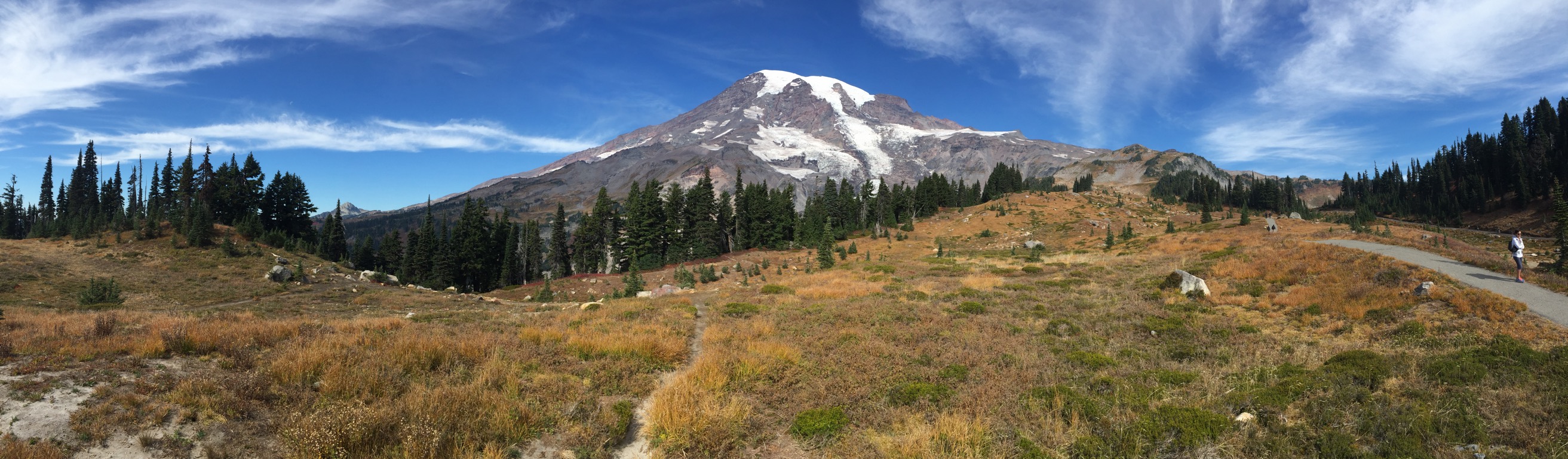 A panorama showing meadows, pines, and the glaciated mountain.