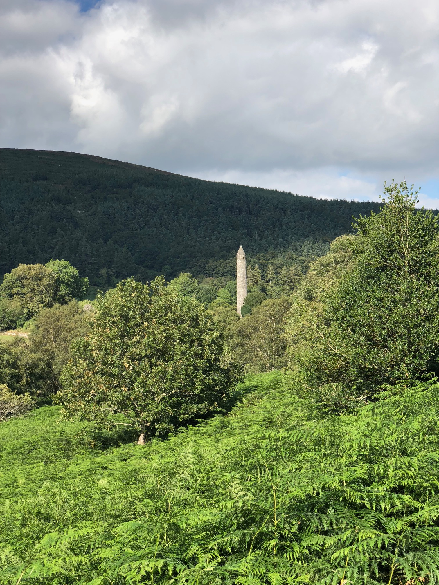 A round stone tower with a conical roof sticks out above the trees, before a dark hills.