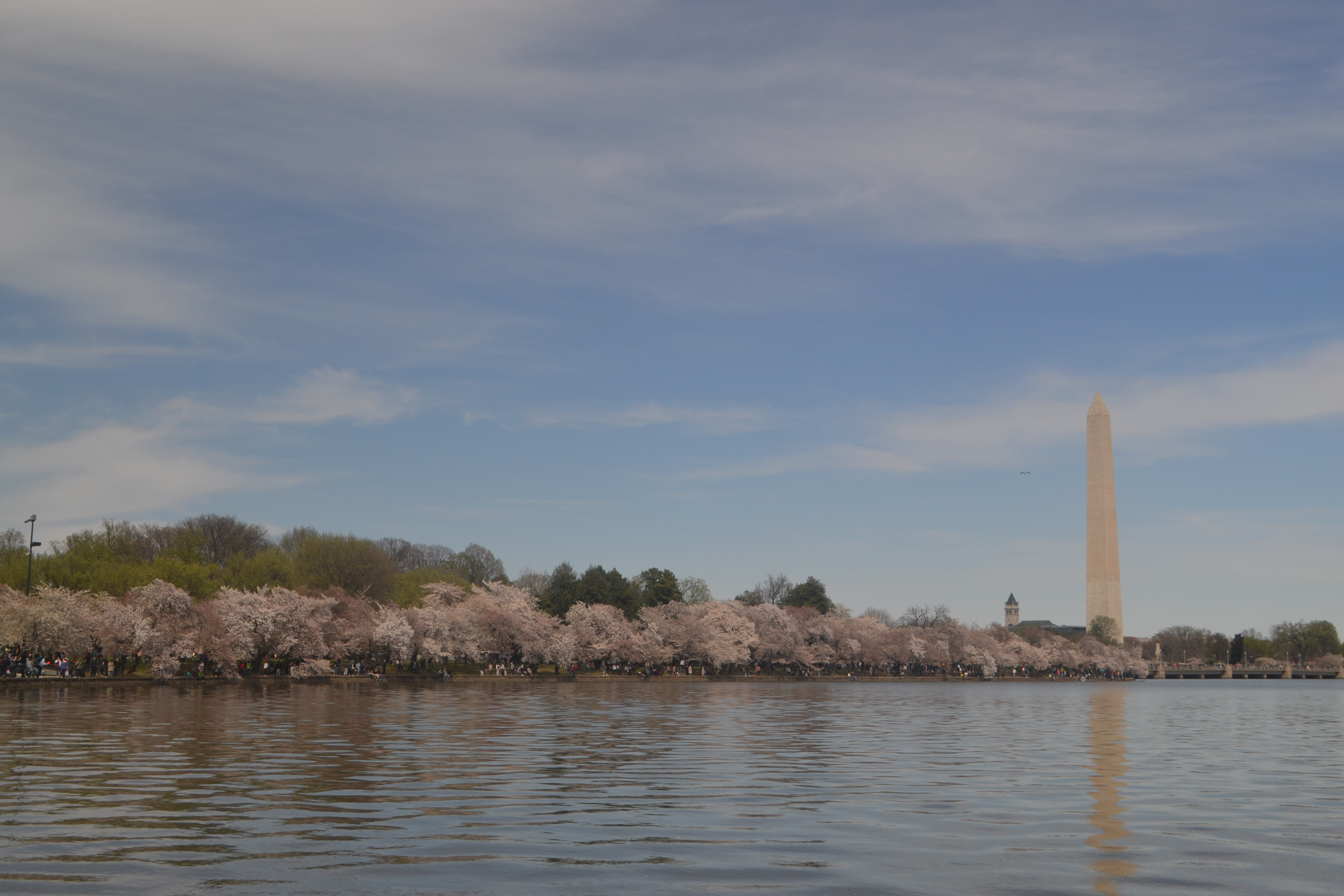 A white stone obelisk is reflected in water.  Between the obelisk and the water is a row of trees.