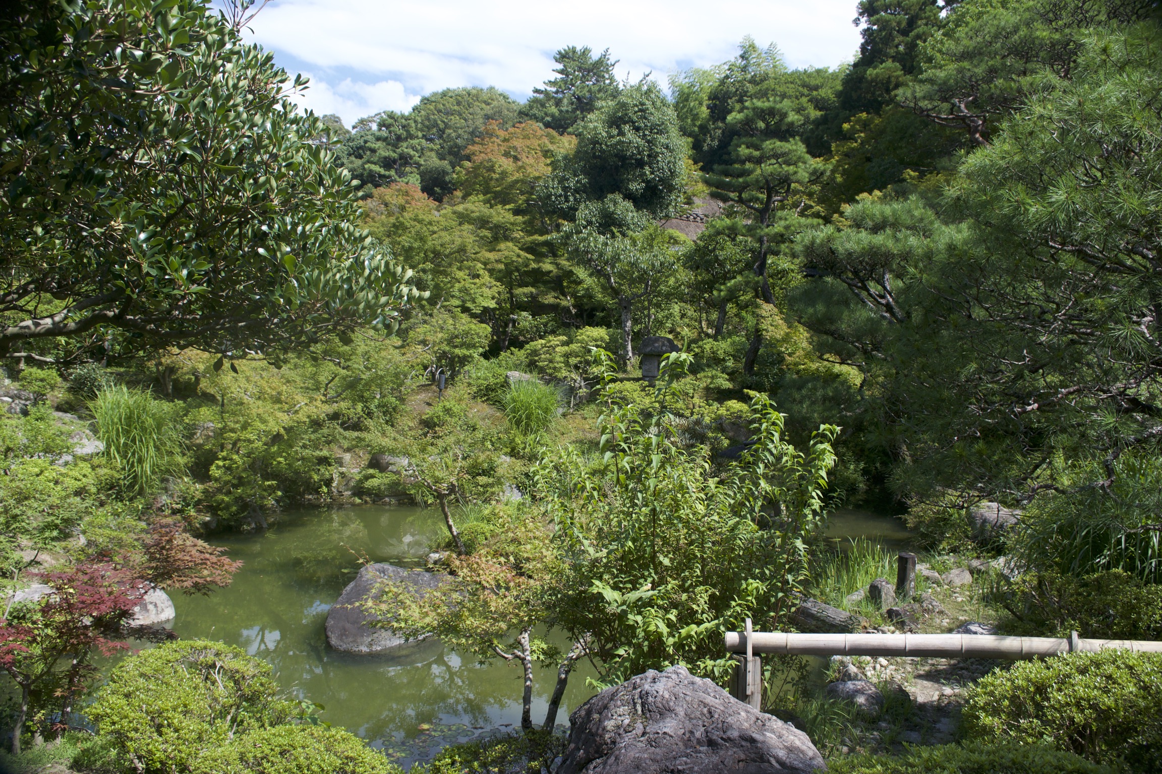 A small pond sits surrounded on all sides by lush greenery.