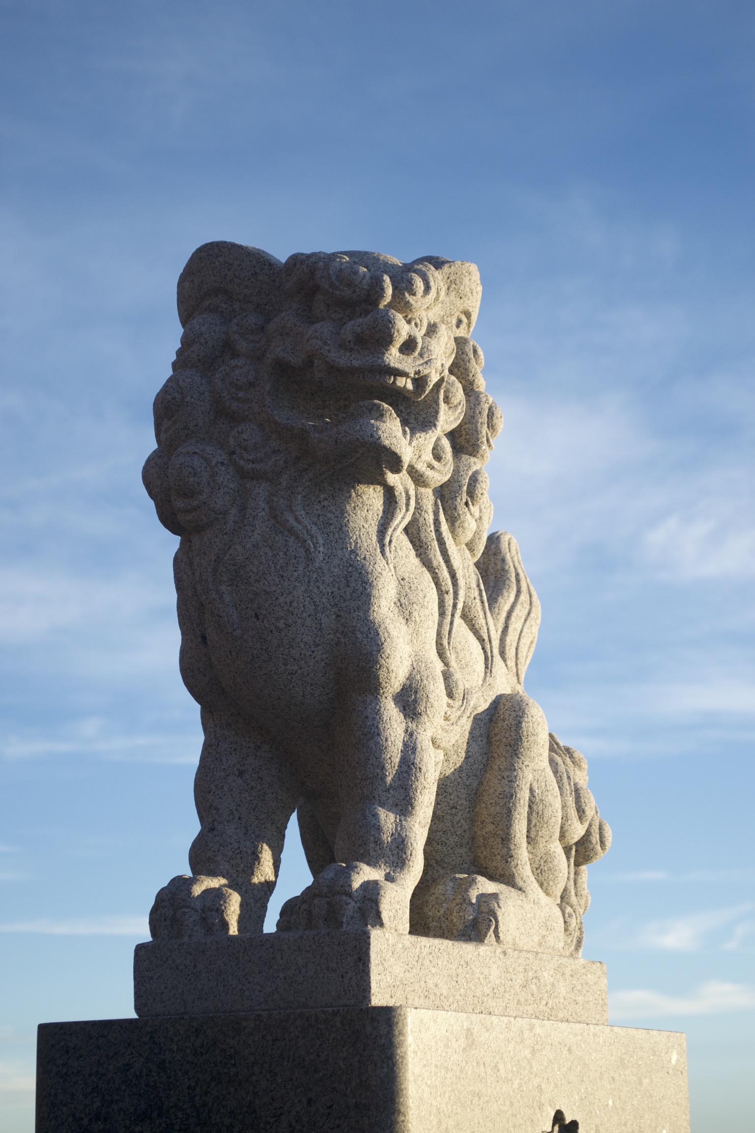 A lion statue is half-illuminated.